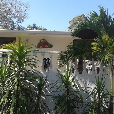 Hibiscus House Bed And Breakfast Contadora Island Экстерьер фото