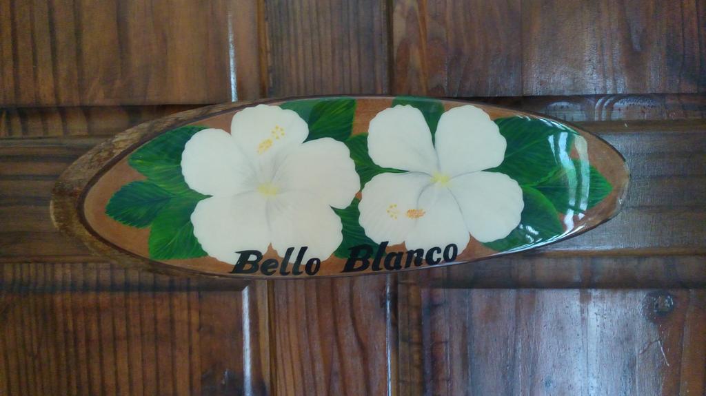Hibiscus House Bed And Breakfast Contadora Island Экстерьер фото
