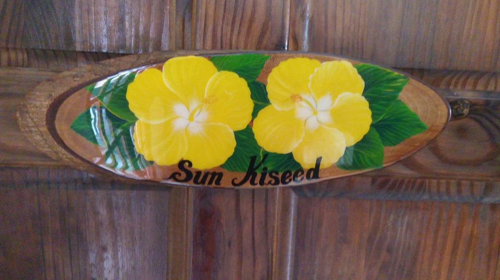 Hibiscus House Bed And Breakfast Contadora Island Экстерьер фото