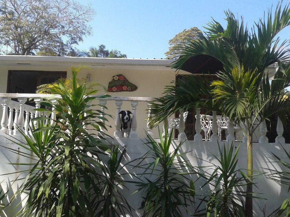 Hibiscus House Bed And Breakfast Contadora Island Экстерьер фото